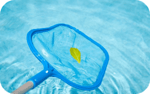 Pool Cleaning
