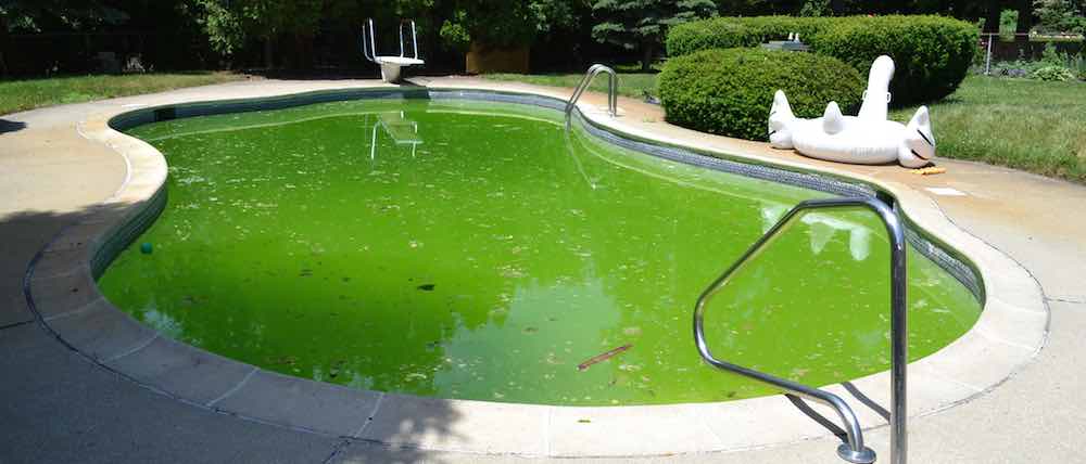 How To Fix A Green Pool How To Clean A Green Pool