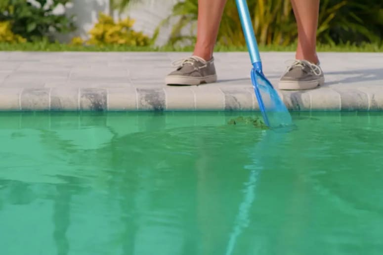 Green Pool Cleaning