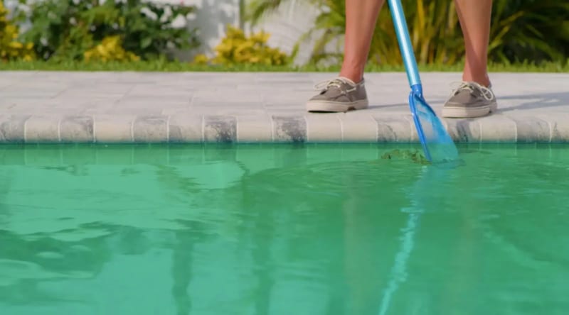 Green Pool Cleaning