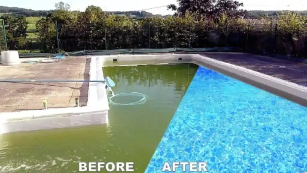 green to clean pool before after.