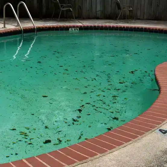 How To Remove Pool Stains How To Remove Pool Stains 1 554x554